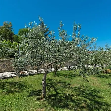 Marlies With Sea View And 3 Terraces